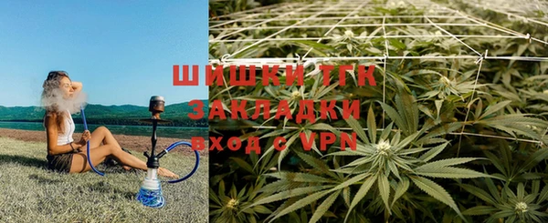 индика Алексеевка